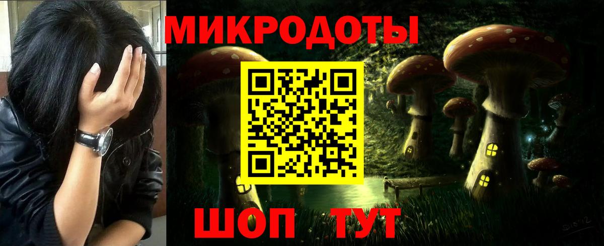 Псилоцибиновые грибы Psilocybine cubensis  Вход с VPN  Галлюциногенные грибы прущие грибы  Нижнекамск 